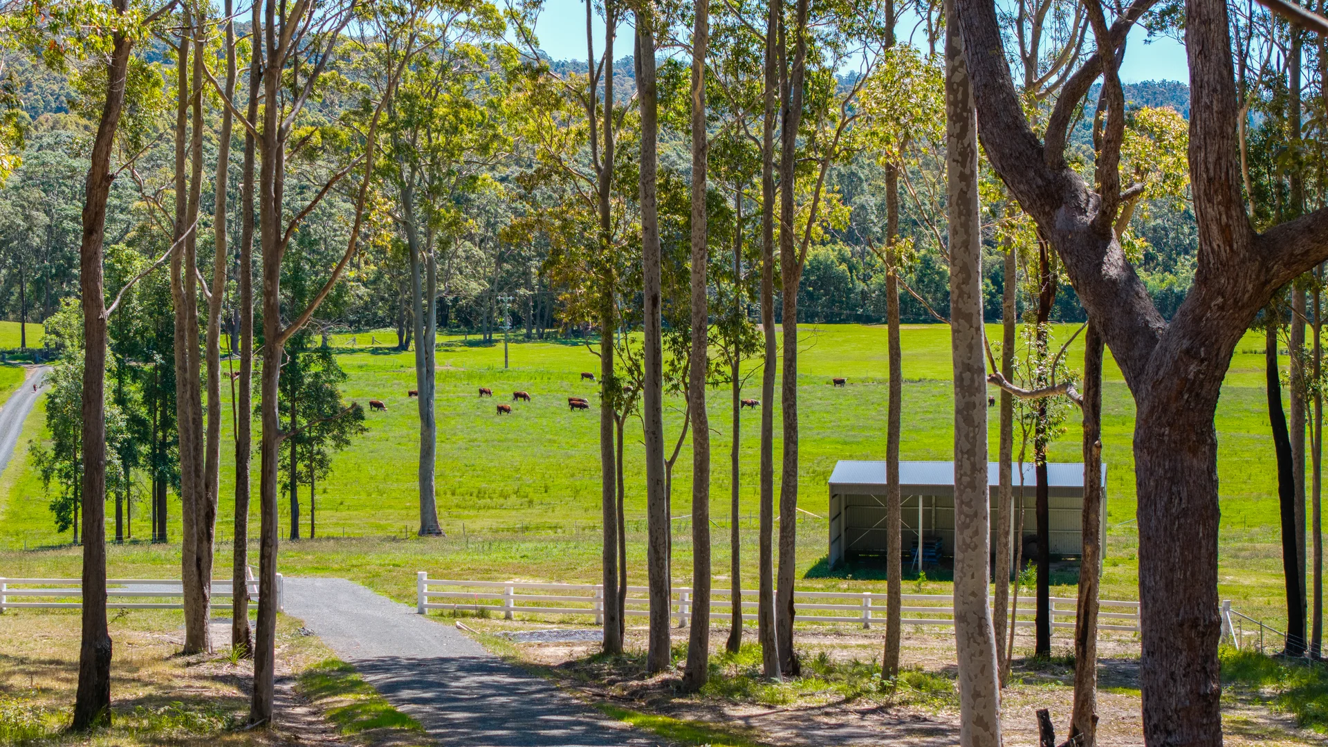 Additional image 16 of 41/271 Lemon Tree Creek Road, Termeil NSW 2539