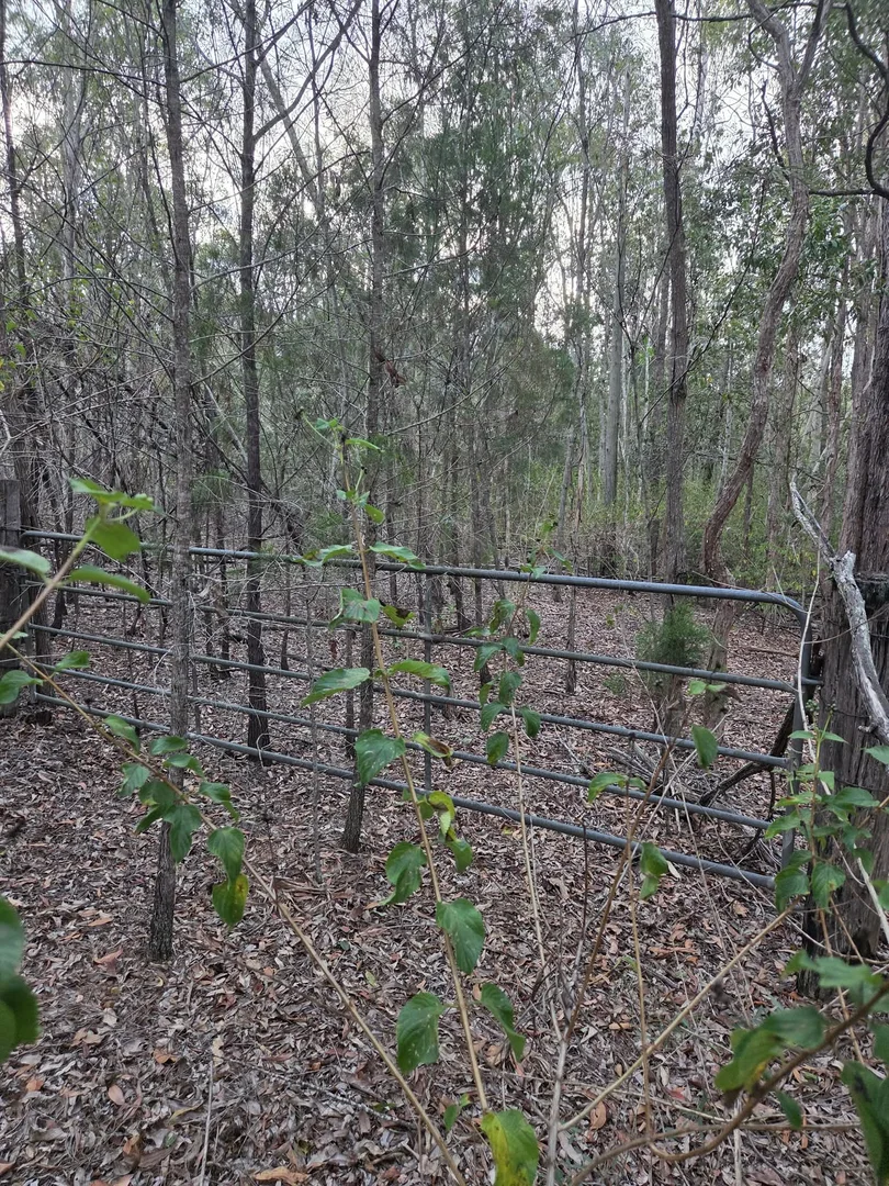 Image 13