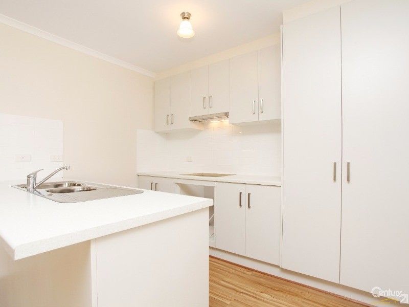 16 Tangelo Court, Direk SA 5110 House For Rent 380 Domain