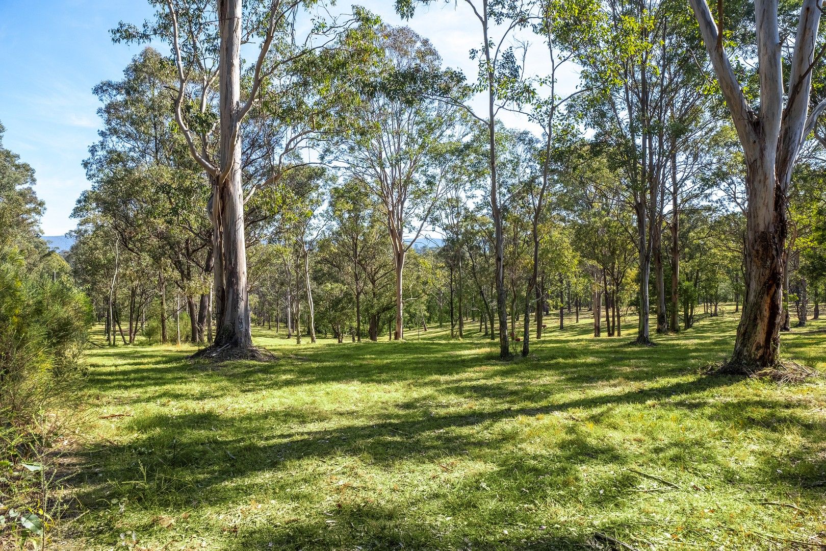 Proposed Lot 13 of 321A East Kurrajong Road, East Kurrajong NSW 2758, Image 0