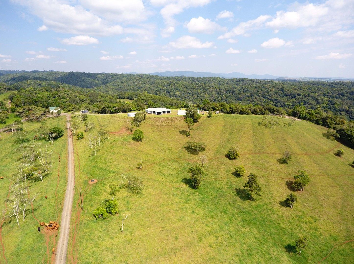 Jaggan QLD 4885 Specialist Farm for Sale Domain