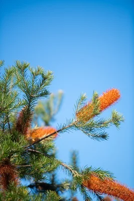 Image 27