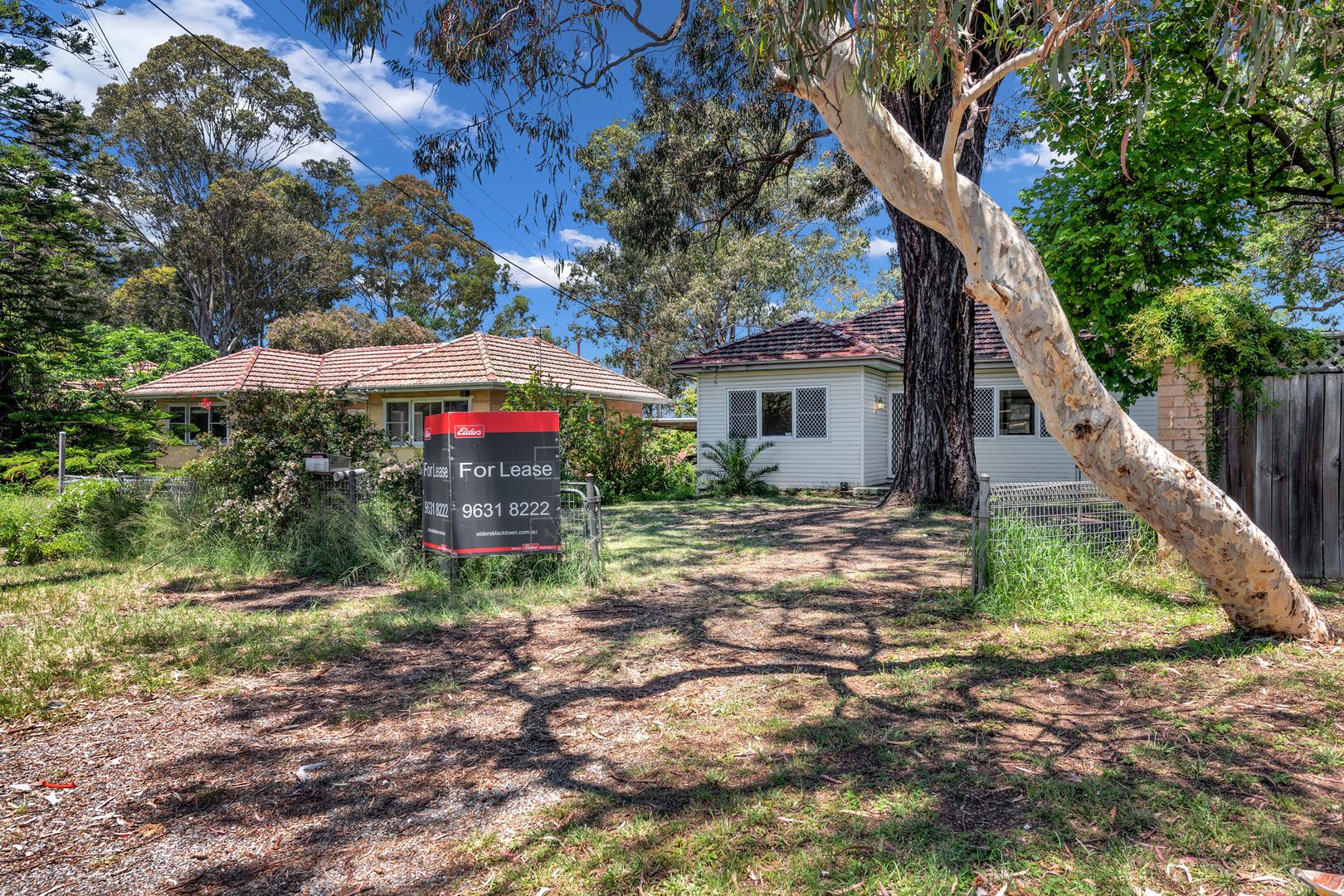 38 Valeria St, Toongabbie NSW 2146, Image 2