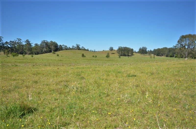 151 Fords Road, Moorland NSW 2443, Image 0