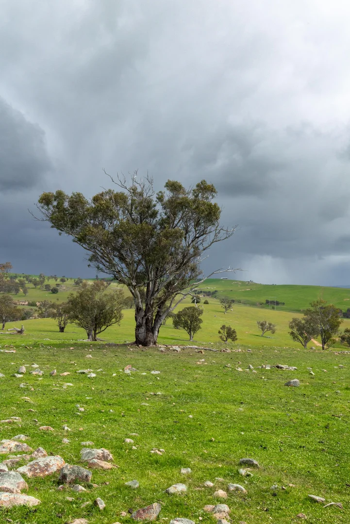 Image 15