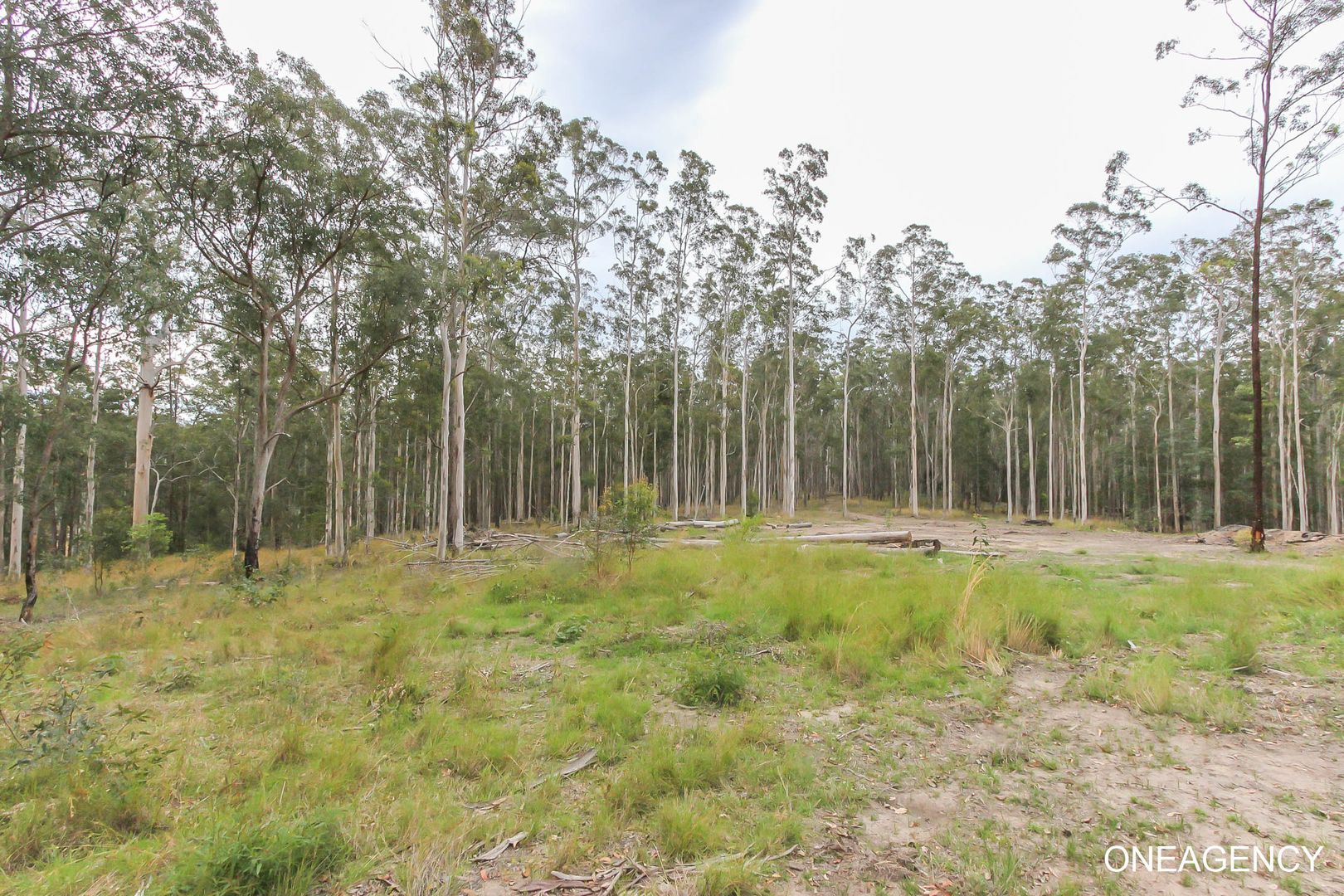 121 Mines Road, Deep Creek NSW 2440, Image 1