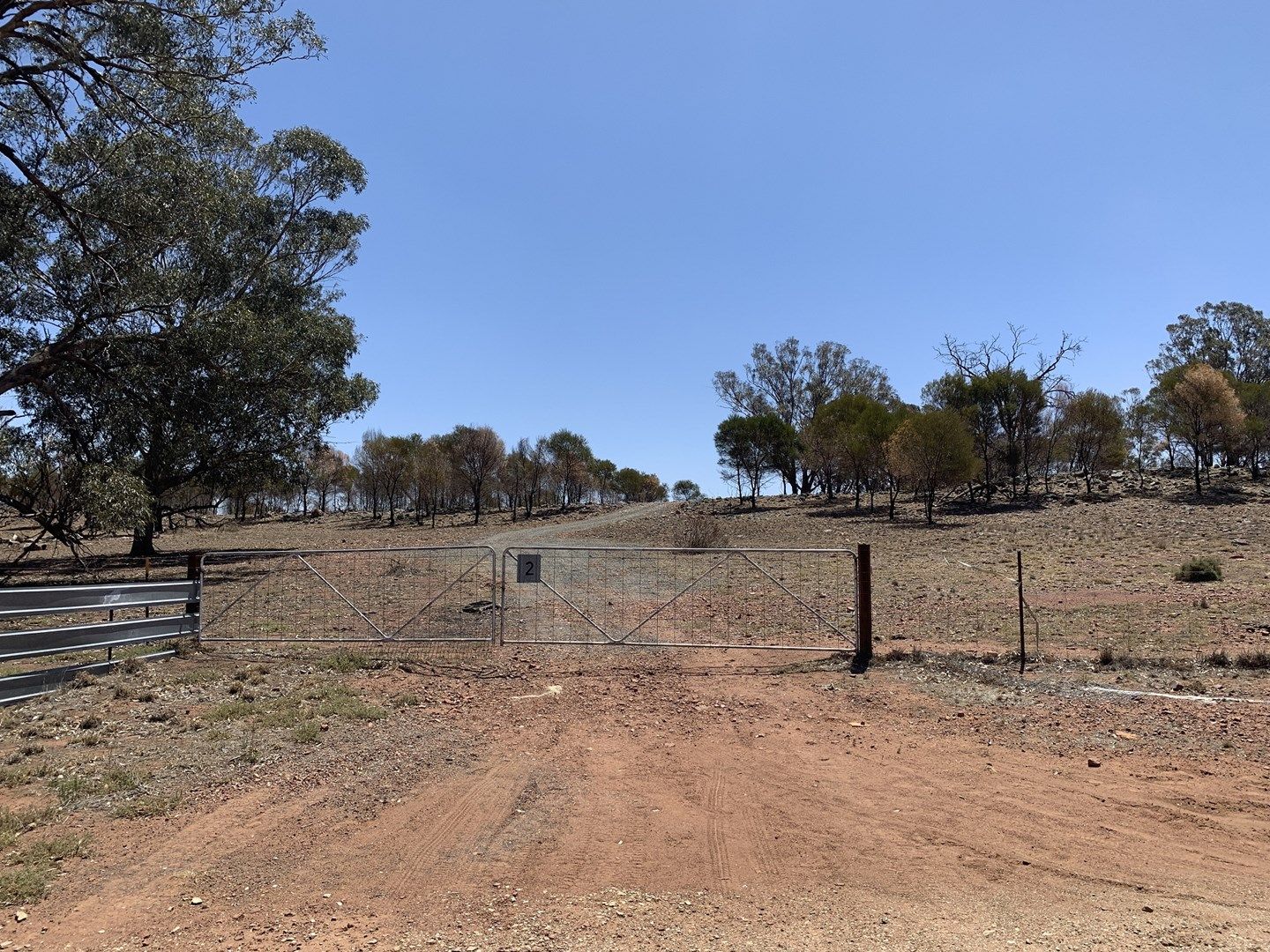 Lot 2 Gunning Ridge Road, Forbes NSW 2871, Image 0