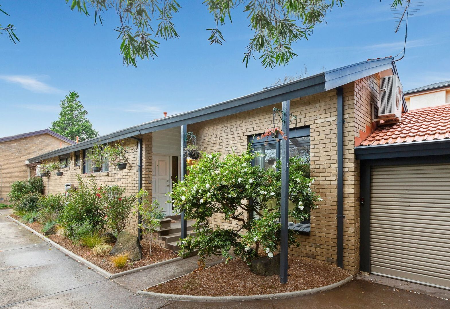 Unit 1/41 Kinane St, Brighton VIC 3186, Image 1