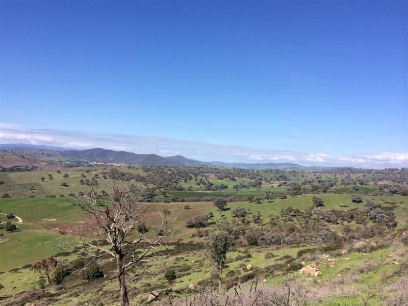 Lot 1 Back Sandy Gully Road, Adelong NSW 2729, Image 1