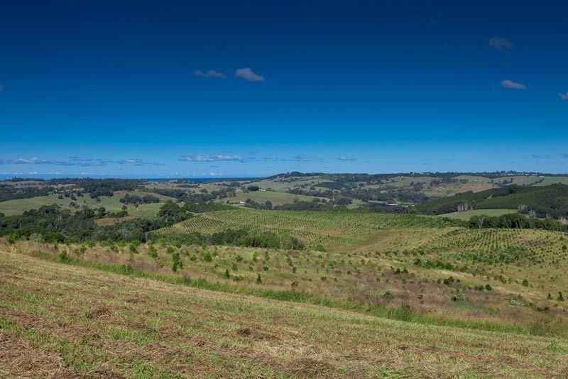 BANGALOW NSW 2479, Image 2