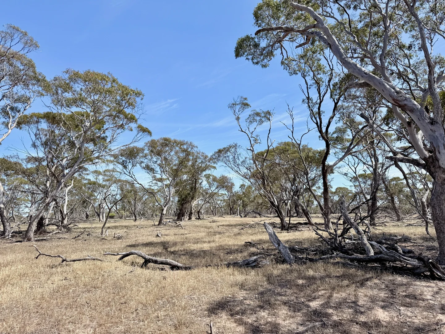 Image 8