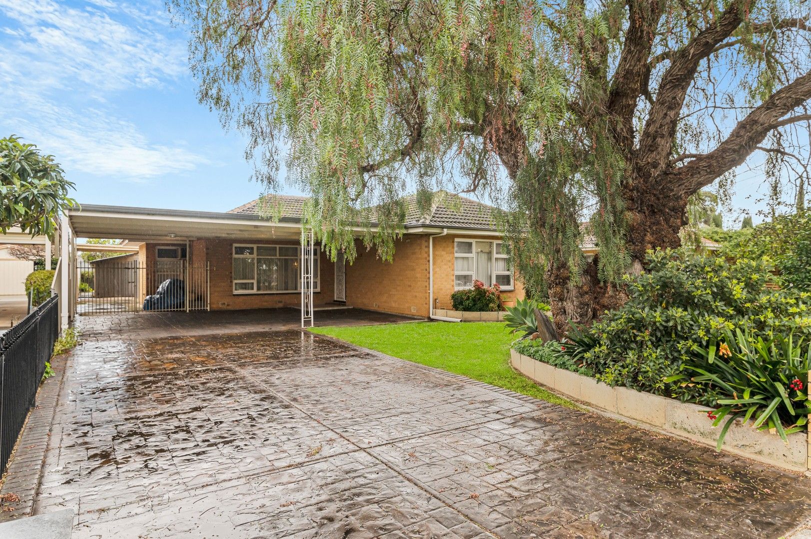 82 Finniss Street, Oaklands Park SA 5046, Image 0