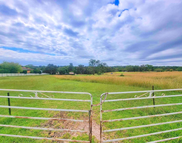 86 Back Creek Road, Young NSW 2594