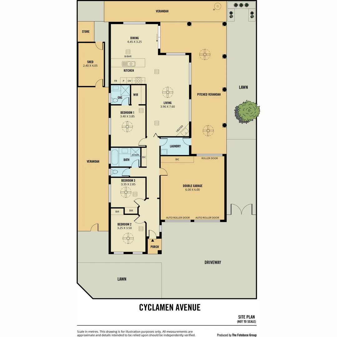 Image 21