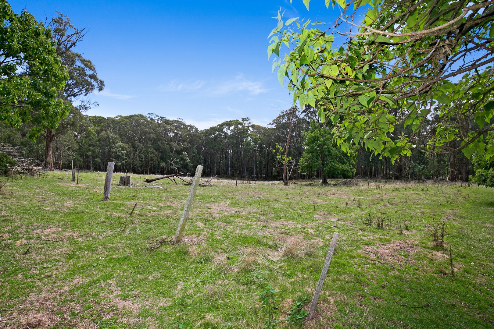 144 Koolkuna Road, Niangala NSW 2354, Image 1