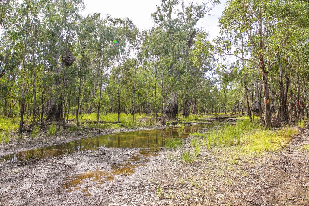 'Prices Run' 650 Yarraman Road, Moama NSW 2731 House for Sale