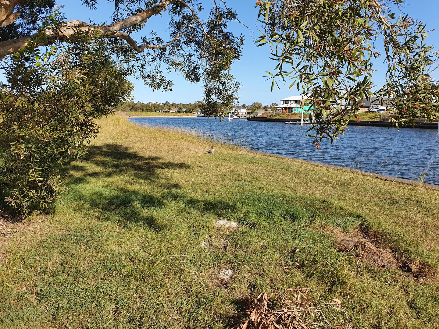 Banksia Beach QLD 4507 vacant land for Sale, 585,000 2017181071 Domain