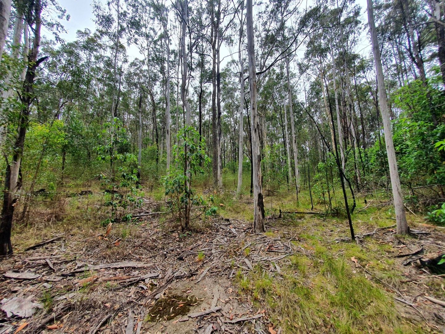 2 Bibaringa Road, Nymboida NSW 2460, Image 1