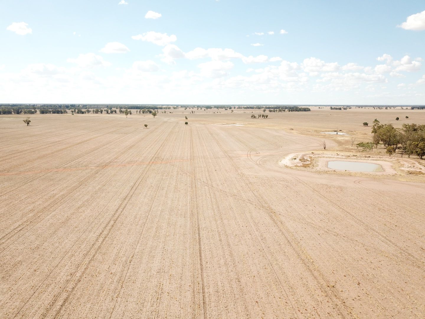 Pett's Block, Pineview Road, Narromine NSW 2821, Image 1