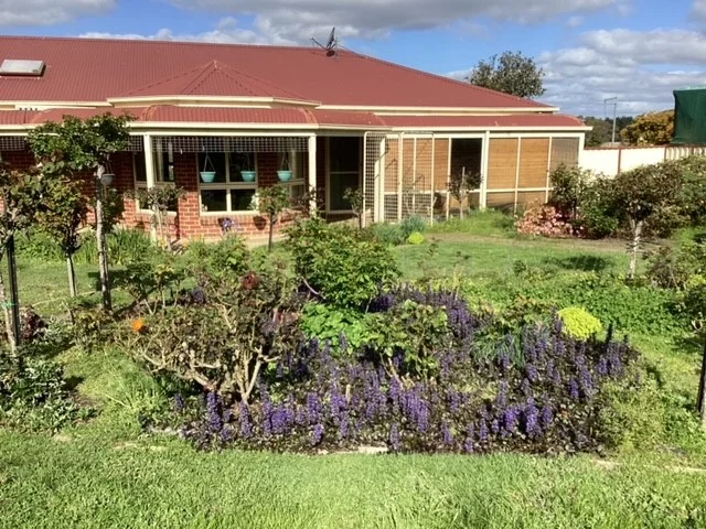 Image 19