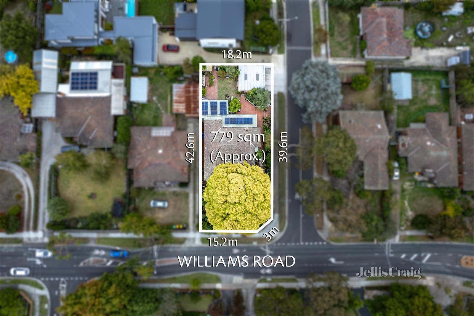 44 Williams Road, Blackburn VIC 3130 | Domain