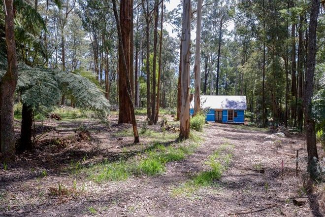 Picture of 239 Big Pats Creek Road, BIG PATS CREEK VIC 3799