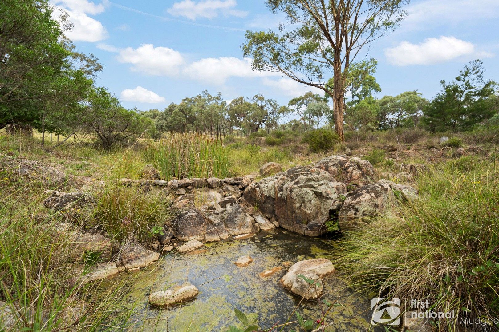 171 Beragoo Road, Mudgee NSW 2850, Image 0