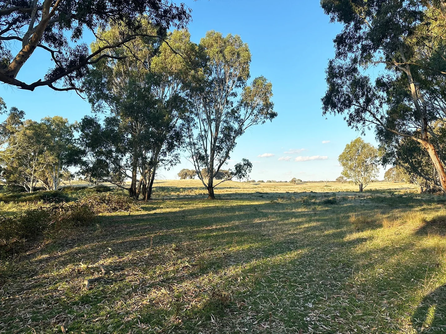 Additional image 9 of 1277 Cheviot Hills Road, Wagga Wagga NSW 2650