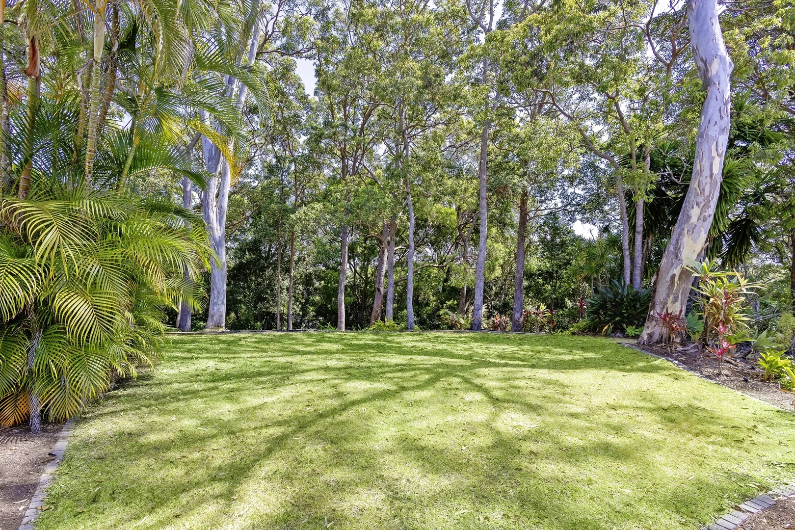 Image 33