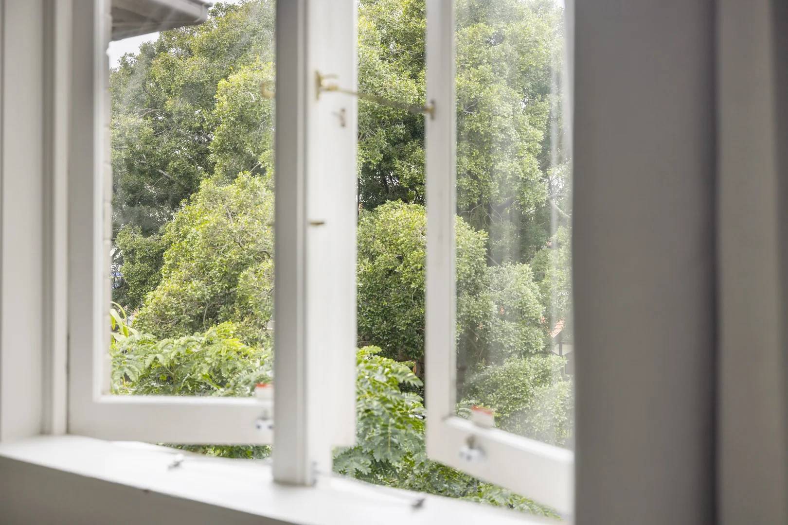 Additional image 8 of 3/16 Consett Avenue, Bondi Beach NSW 2026