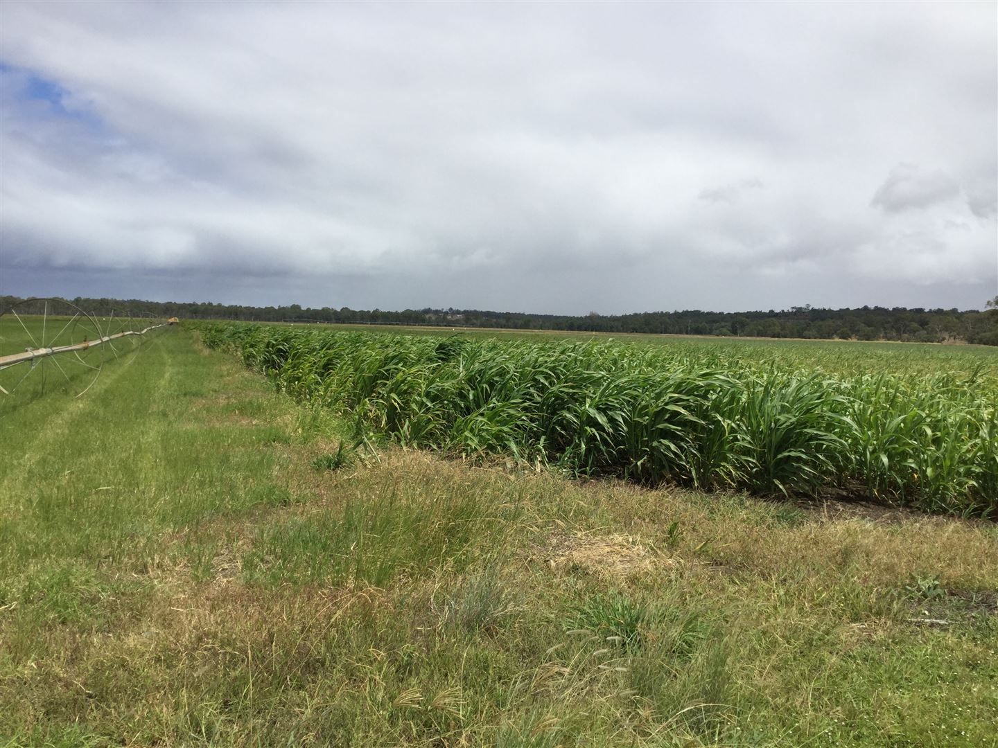 749 Burnett Highway, Nanango QLD 4615, Image 2