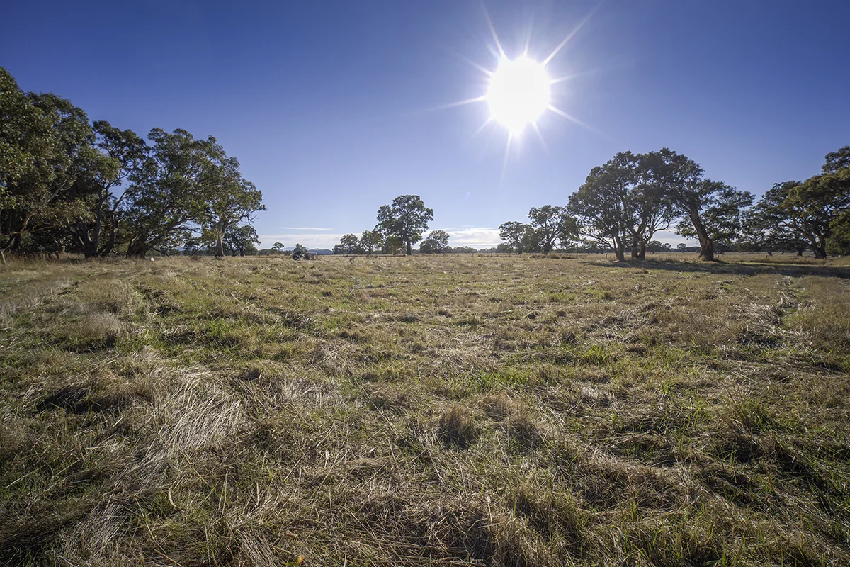 Additional image 5 of Bellicourt Road, Dunkeld VIC 3294