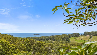 Picture of 119 Gaudrons Road, SAPPHIRE BEACH NSW 2450