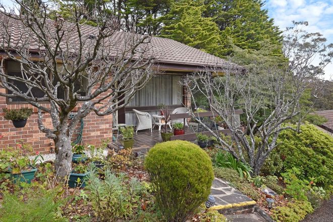 7 jersey ave leura Clearance