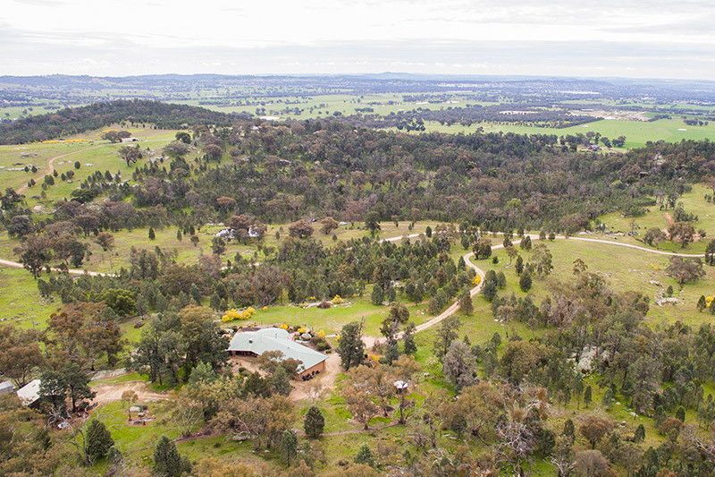 263 Ivydale Rd, Gregadoo NSW 2650, Image 2