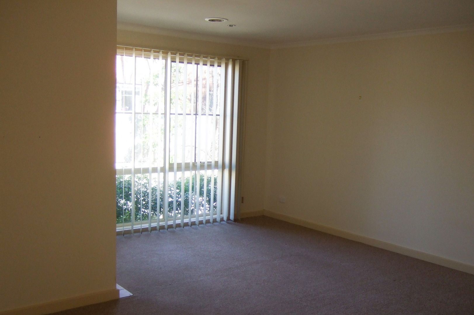 2/503 Mitcham Road, Mitcham VIC 3132 Apartment For Rent Domain