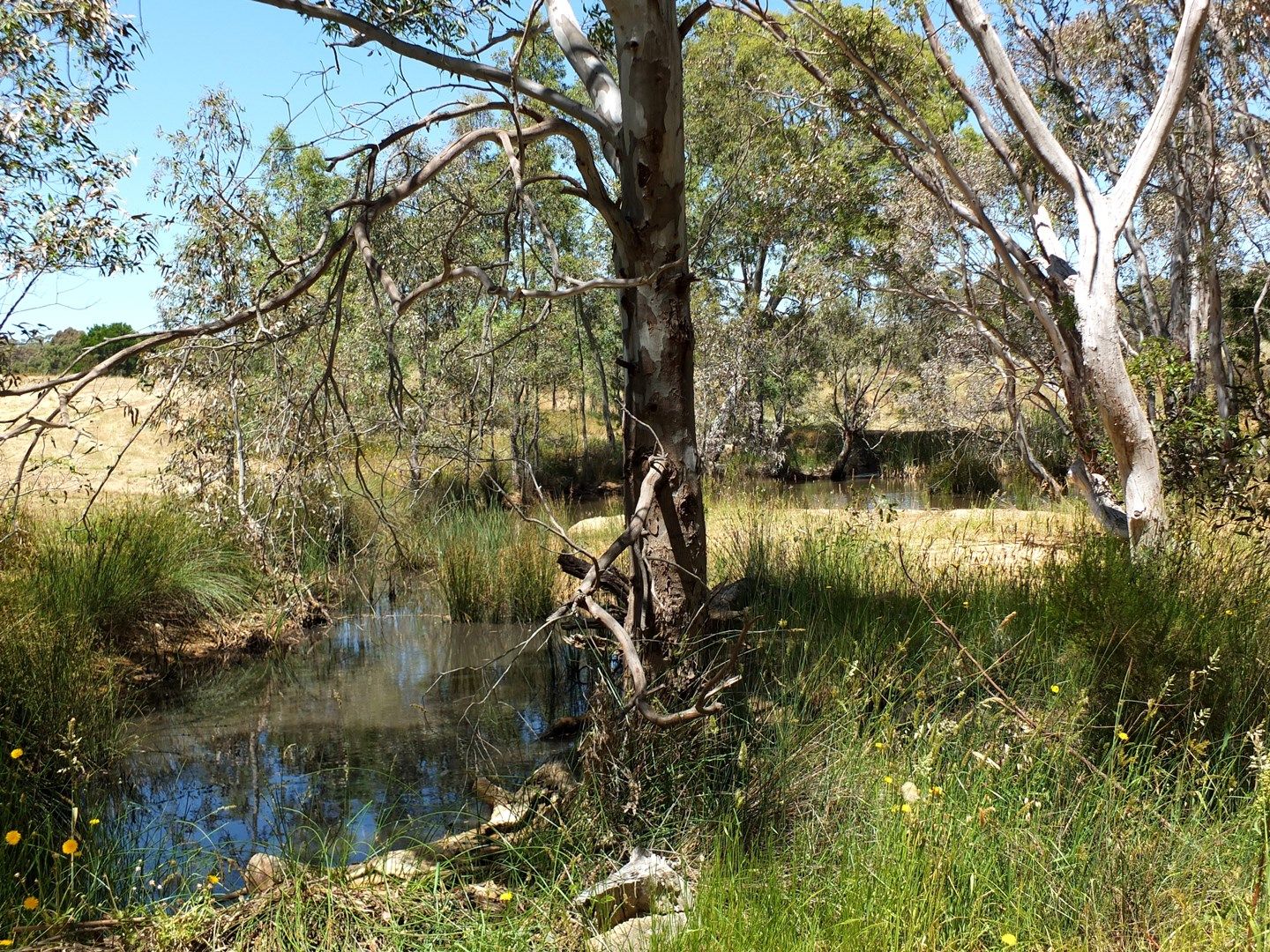 1321 Waubra-Talbot Road, Evansford VIC 3371, Image 0