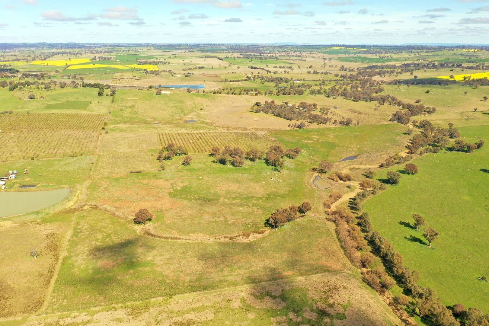 Lot 225 Maimuru SS Road, Maimuru NSW 2594, Image 0