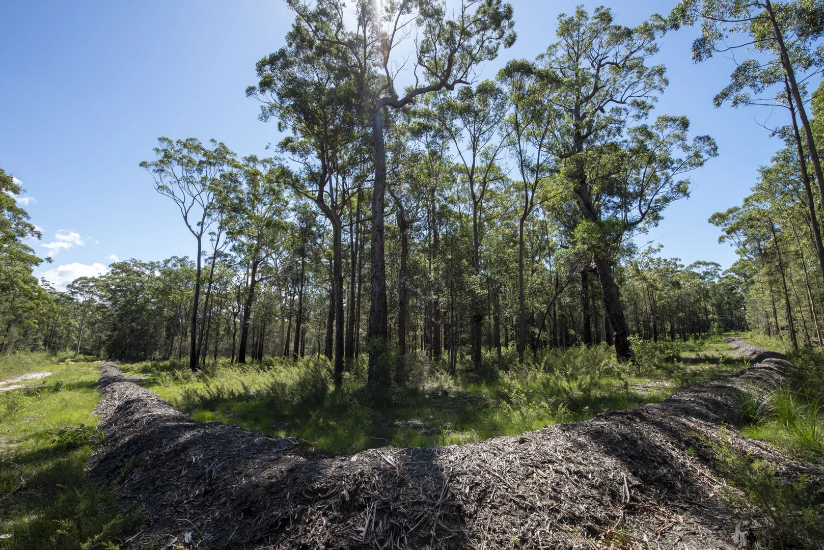 Additional image 18 of Lot 2 Parnell Road, Tomerong NSW 2540