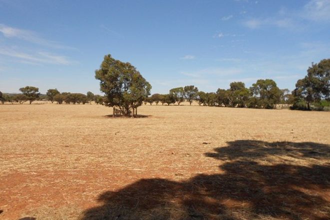 Picture of Lot 13 Kinnane Street, JAMESTOWN SA 5491