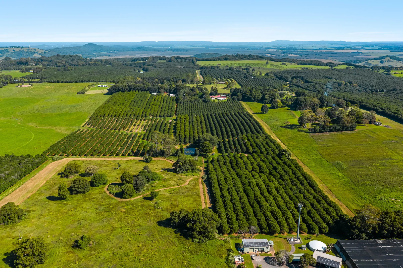 Additional image 16 of 250 Dalwood Road, Dalwood NSW 2477