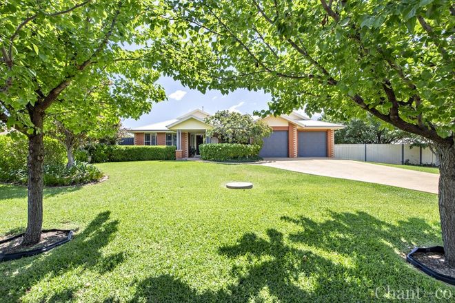 Picture of 3 Tallwoods Grove, DUBBO NSW 2830