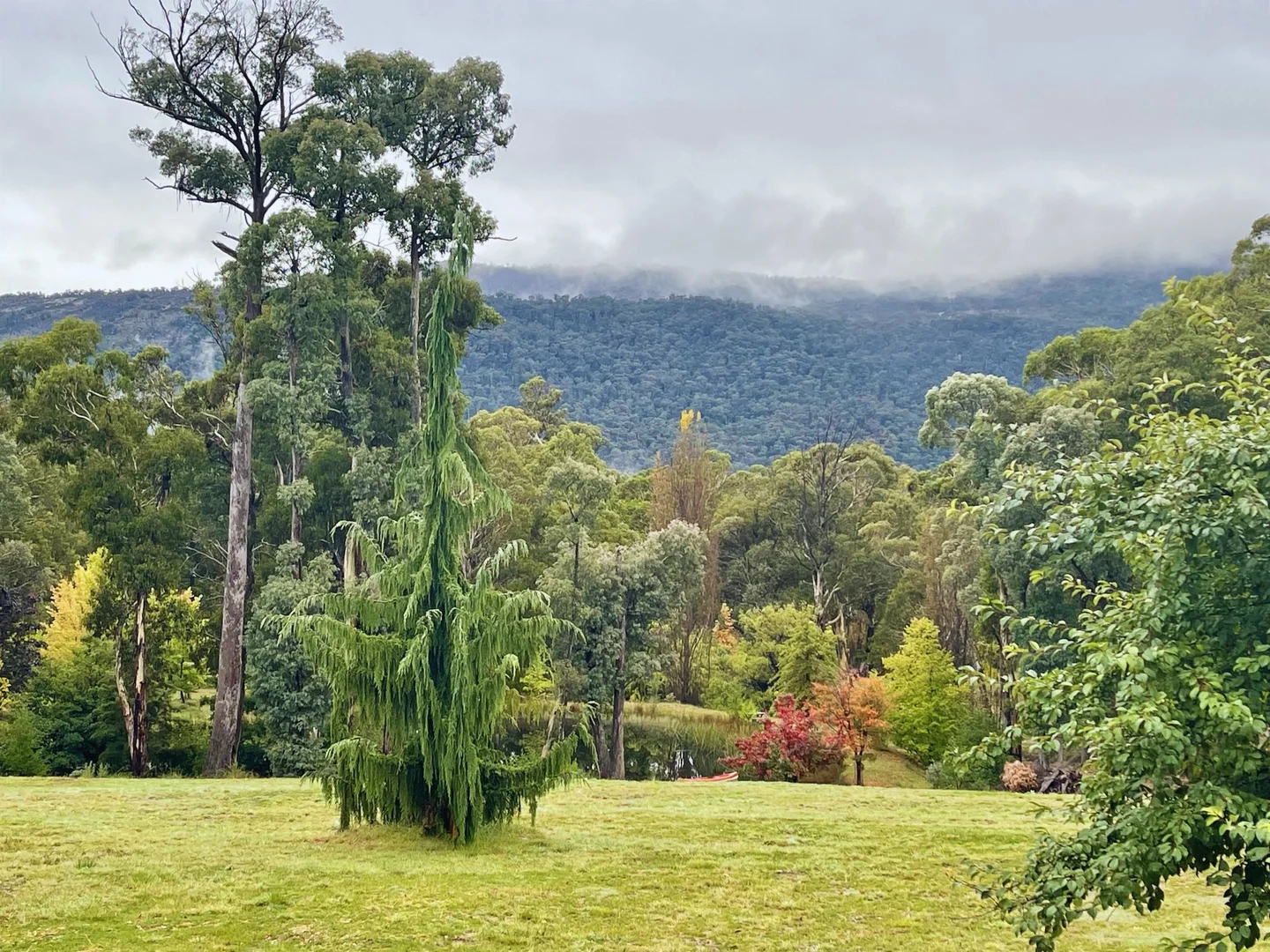 Additional image 25 of 791 Kennedys Road, Yaouk NSW 2629