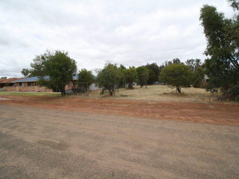 38 Rogers Avenue, Katanning WA 6317, Image 1