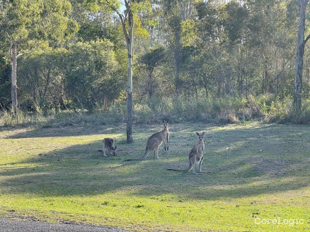 Lot 96/4528 Ox Hill Dr, Bundaberg Gin Gin Road, Gin Gin QLD 4671, Image 2