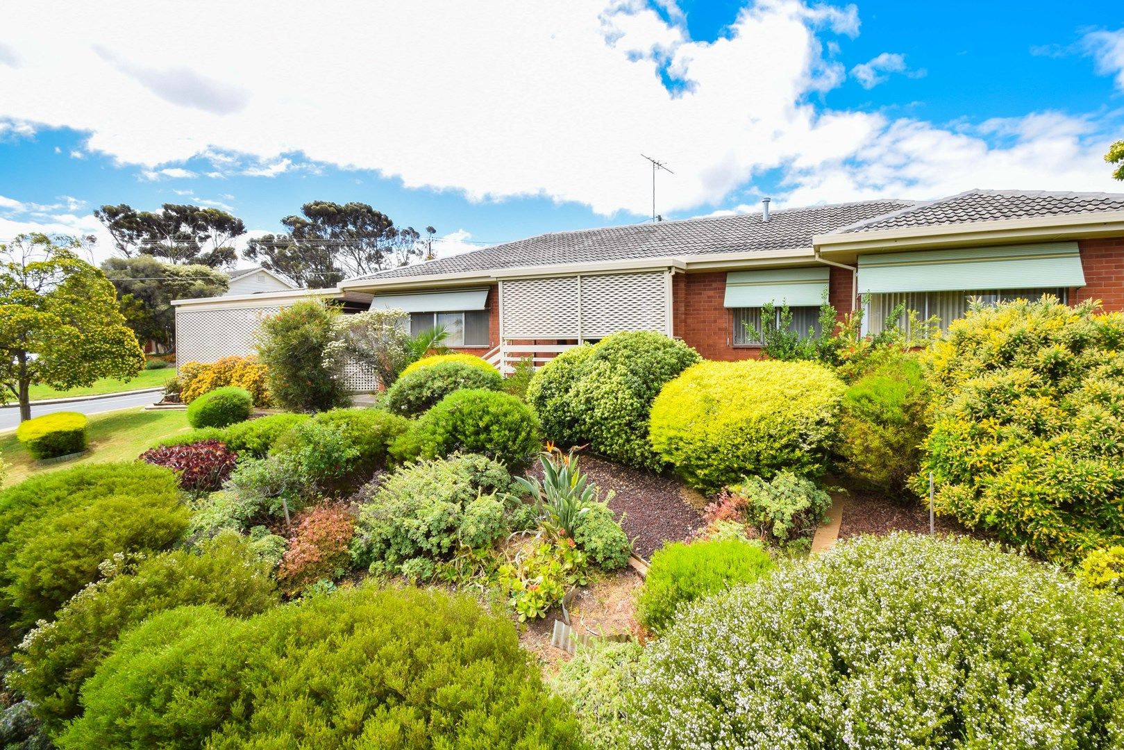 48 Ross Street, Seaview Downs SA 5049, Image 0