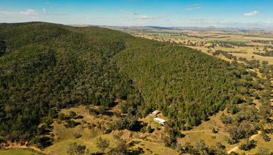 Picture of 1859 Douglas Gap Road, YOUNG NSW 2594