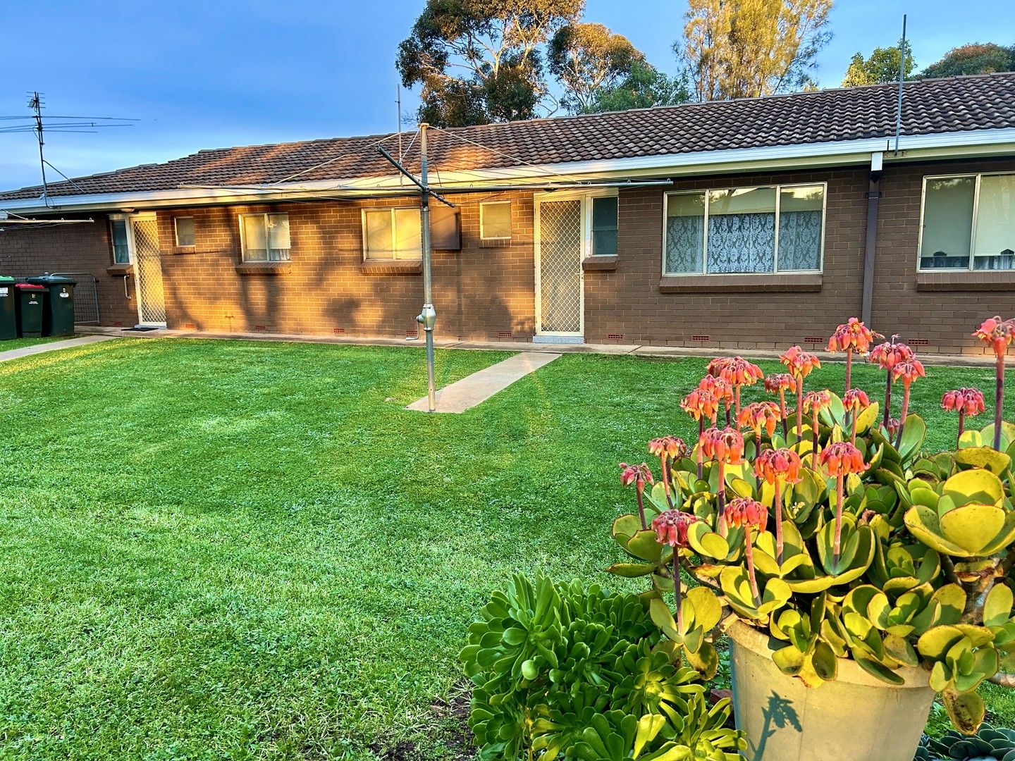 2 bedrooms House in 3/31 Mirrool Street COOLAMON NSW, 2701