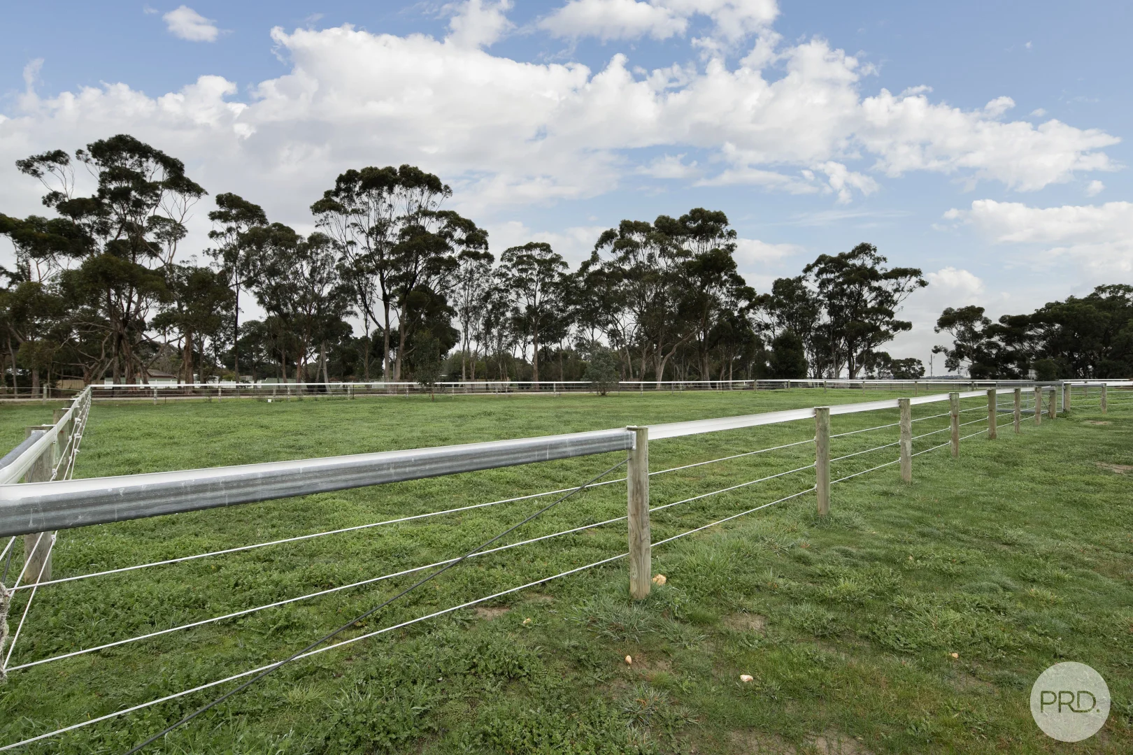 Image 15