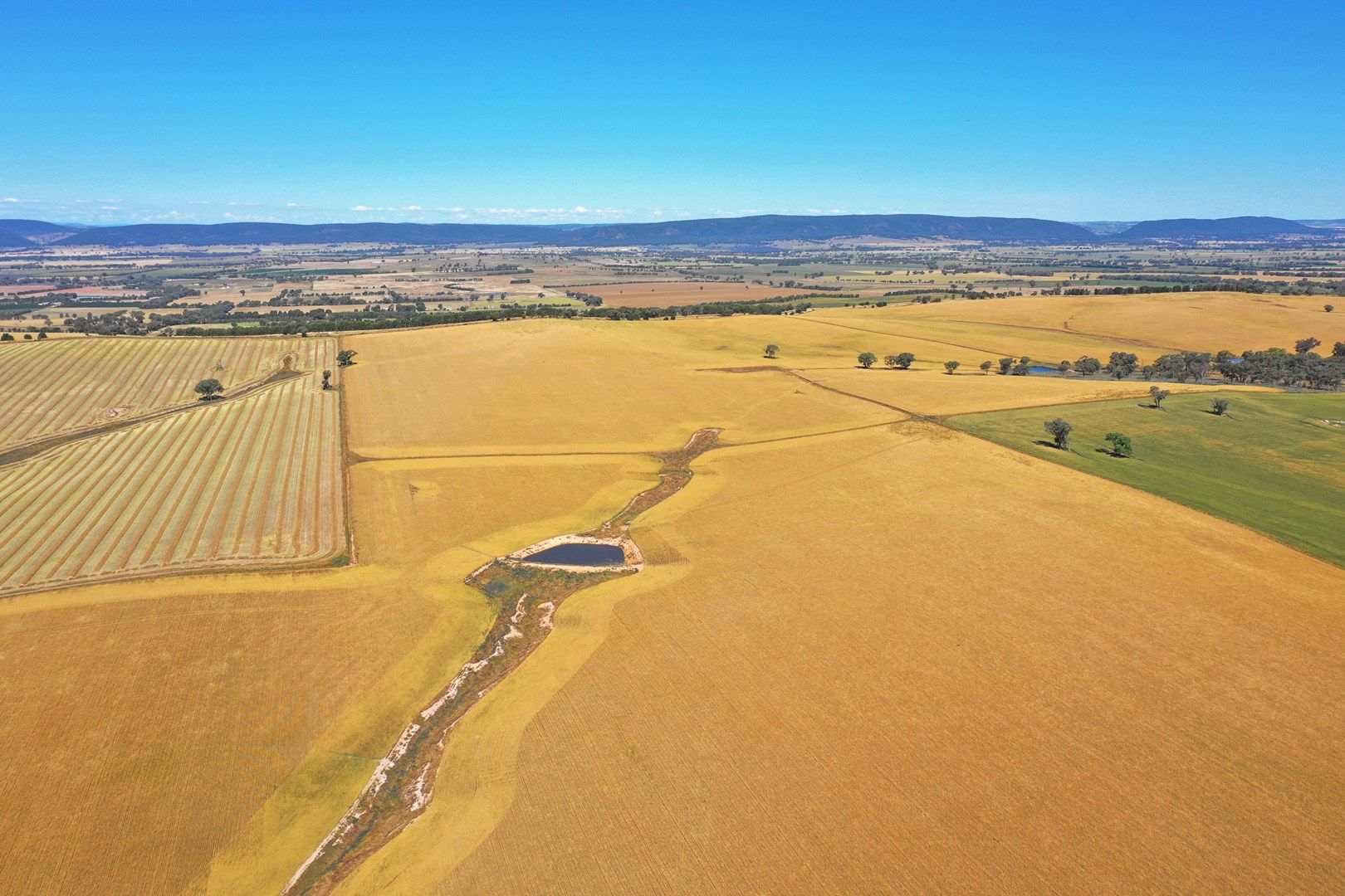 Scenic Rd, Young NSW 2594, Image 0